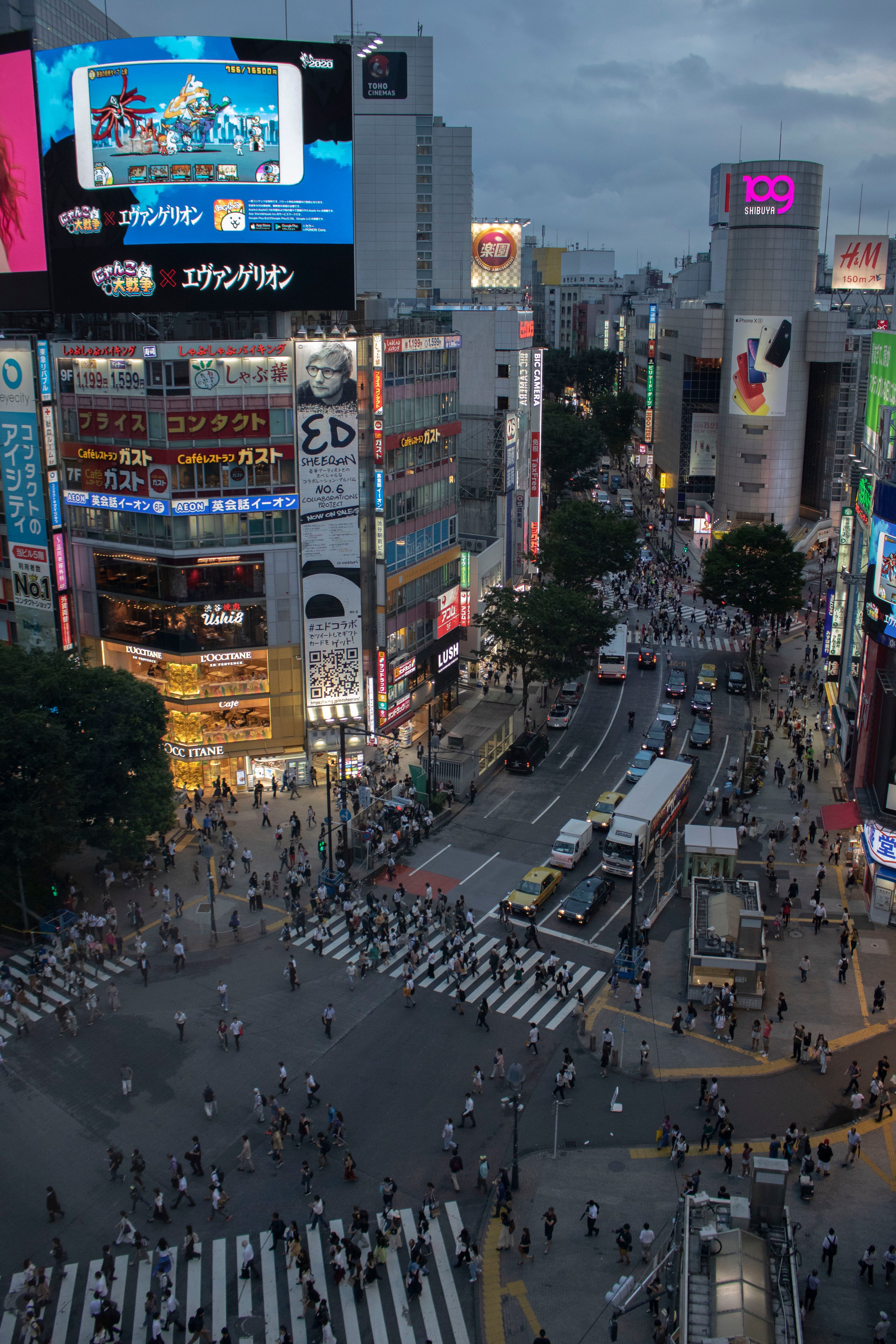 Shibuya Crossing